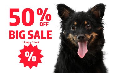 Reklam posteri, Pet Shop SALE. Beyaz arka planda şirin köpek ve indirim teklifi