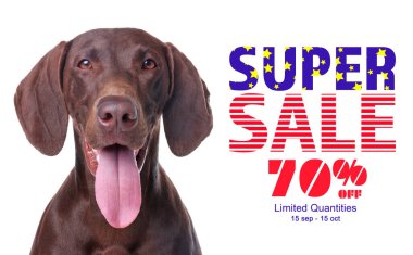 Advertising poster Pet Shop SALE. Cute dog and discount offer on white background clipart