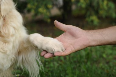 Parkta köpek pençesi tutan adam, yakın plan.
