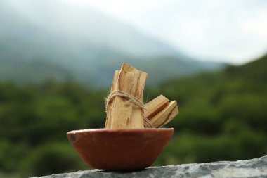 Birçok palo santo yüksek dağlarda taş yüzeyde yapışır.