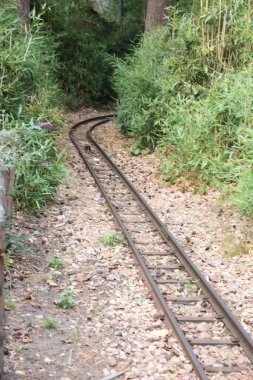 Güzel bir demiryolu manzarası ve parktaki yeşil bitkiler