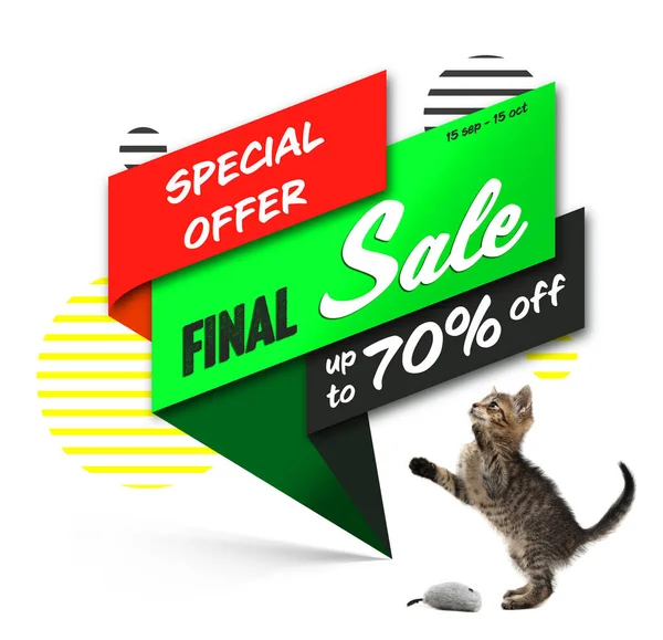 Διαφημιστική Αφίσα Pet Shop Πωληση Χαριτωμένη Γάτα Και Προσφορά Έκπτωσης — Φωτογραφία Αρχείου