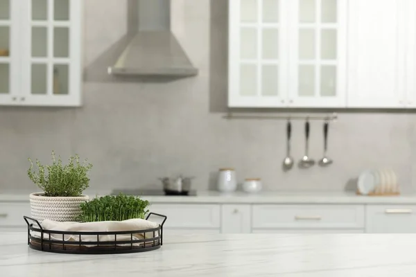 Microgreens Potted Bonitos Tabela Branca Cozinha Espaço Para Texto — Fotografia de Stock