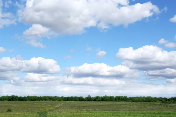 Malowniczy Widok Pięknych Puszystych Chmur Błękitnym Niebie Nad Polem — Zdjęcie stockowe