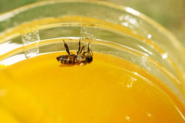Bijen Glazen Pot Met Heerlijke Verse Honing Close — Stockfoto