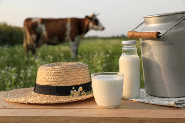 Milk Straw Hat Camomiles Wooden Table Cow Grazing Meadow — Stock Photo, Image