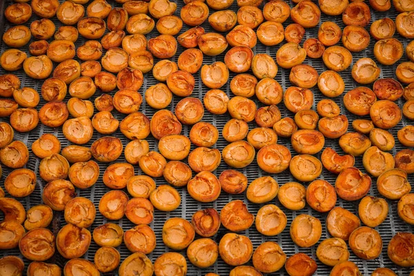 Many Halved Apricots Metal Drying Rack Flat Lay — Stok fotoğraf