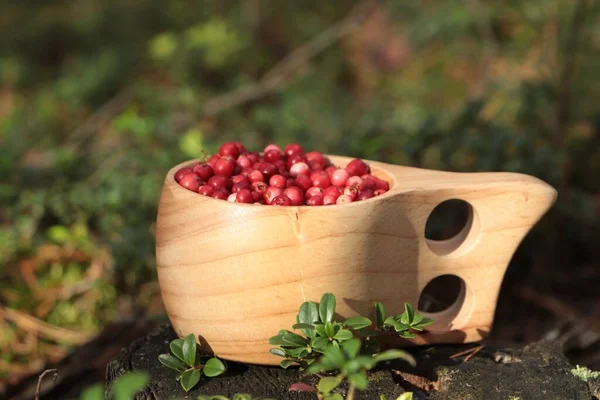 stock image Many ripe lingonberries in wooden cup outdoors, closeup