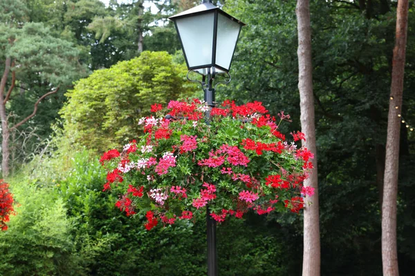公园里美丽的街灯和盆景花 — 图库照片