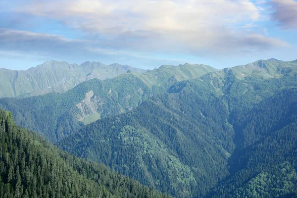 Widok Lotu Ptaka Pięknego Krajobrazu Lasem Górskim Słoneczny Dzień — Zdjęcie stockowe
