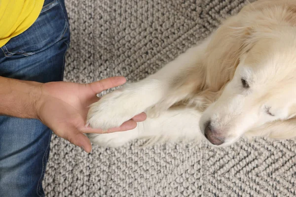 毛布の上に犬の足を保持男 トップビュー — ストック写真