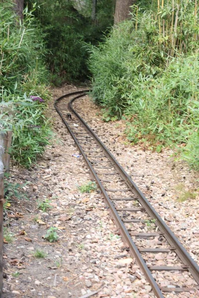 Güzel bir demiryolu manzarası ve parktaki yeşil bitkiler