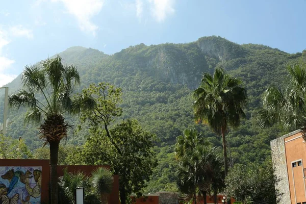 Şehir Binalarının Güzel Dağların Yanındaki Palmiye Ağaçlarının Manzarası — Stok fotoğraf