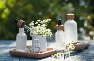 Bottles of chamomile essential oil, pipette and flowers on grey wooden table