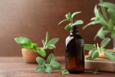 Bottle of essential oil and fresh herbs on wooden table, space for text
