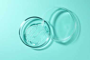 Sıvı ve kapaklı petri kabı turkuaz arka plan, üst görünüm