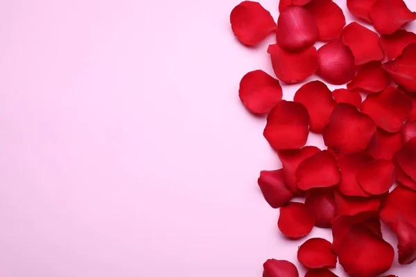Gyönyörű Vörös Rózsa Virág Szirmok Rózsaszín Háttér Lapos Laikus Szöveg — Stock Fotó