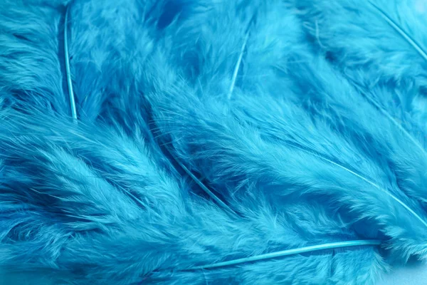 Многие Светло Голубые Красивые Перья Качестве Фона Крупным Планом — стоковое фото