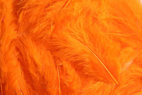 Veel Mooie Pluizige Oranje Veren Als Achtergrond Bovenaanzicht — Stockfoto