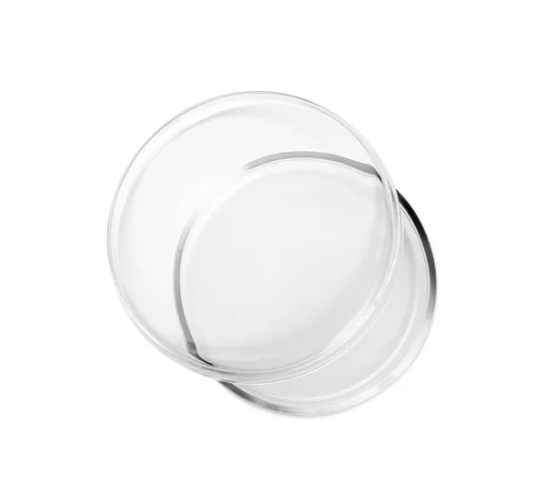 空玻璃杯培养皿隔离在白色 顶部视图 — 图库照片