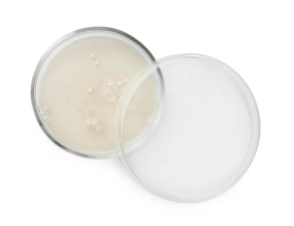 Πιάτα Petri Διαφορετικά Υγρά Λευκό Φόντο Top View — Φωτογραφία Αρχείου