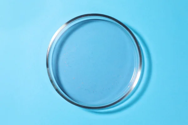 Πιάτο Petri Υγρό Γαλάζιο Φόντο Πάνω Όψη — Φωτογραφία Αρχείου