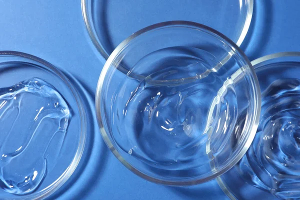 Petri dishes with liquids on blue background, flat lay