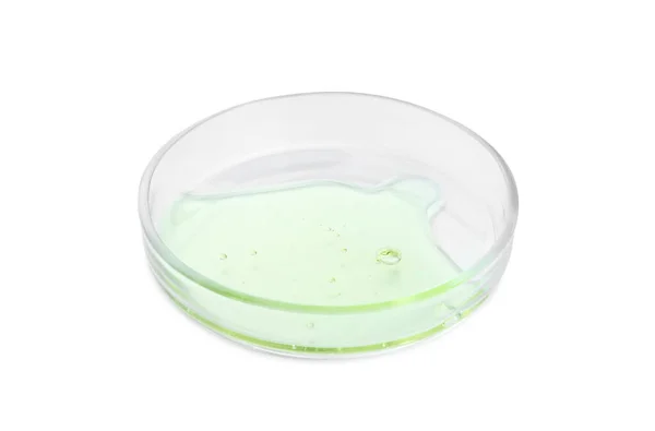 Placa Petri Com Líquido Isolado Branco — Fotografia de Stock