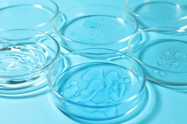Petri dishes with liquids on light blue background, closeup