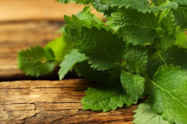 Taze yeşil limon merhemi yaprakları ahşap masada, yakın plan.