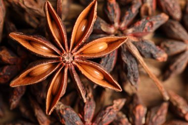 Taze ve kuru aromatik anason yıldızları masada, yakın plan.