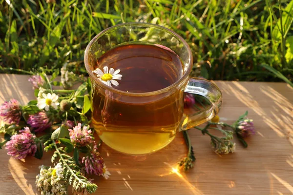 Чашка Ароматного Трав Яного Чаю Різних Диких Квітів Зеленій Траві — стокове фото