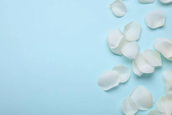 Красиві Білі Пелюстки Квітки Троянди Світло Блакитному Тлі Плоска Лежа — стокове фото