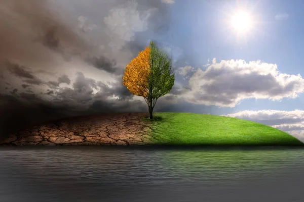 屋外で死んで生きている木の半分 環境汚染によって破壊された地球を描いたコンセプチュアルな写真 — ストック写真