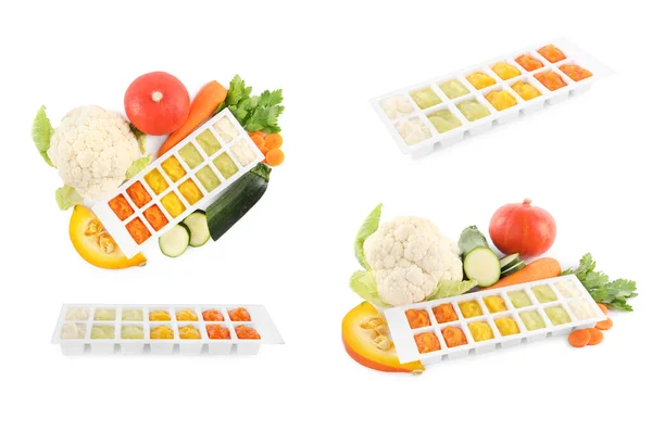 Set Different Frozen Puree Ice Cube Trays Ingredients White Background — Stock Photo, Image
