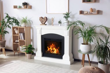 Şık bir oturma odası şömine, dolap ve ev bitkileriyle.