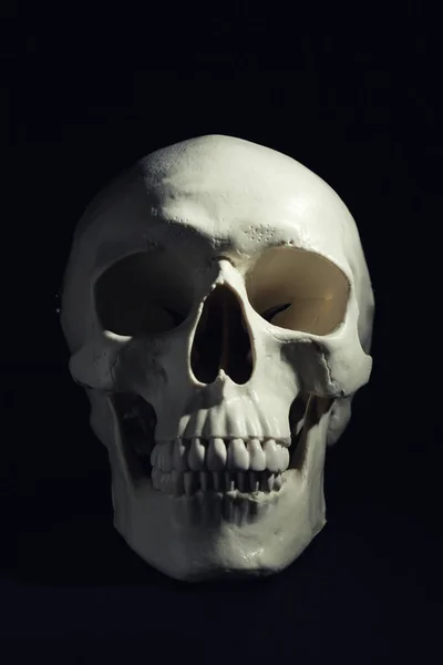 Weißer Menschlicher Schädel Mit Zähnen Auf Schwarzem Hintergrund — Stockfoto