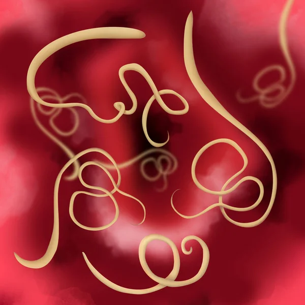 Иллюстрация Гельминтов Цветном Фоне Паразиты Организме Человека — стоковое фото
