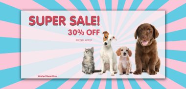 Reklam posteri, Pet Shop SALE. Şirin kedi, köpekler ve renkli arka plan indirimi, afiş tasarımı