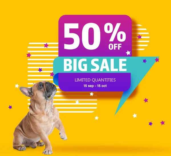Pet shop for best sale sale