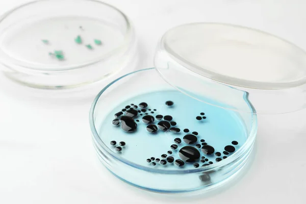 Petri dishes with different bacteria colonies on white background, closeup