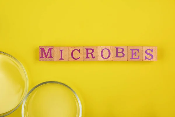 文字微生物制成的木制立方体和放大镜黄色背景 顶部视图 — 图库照片
