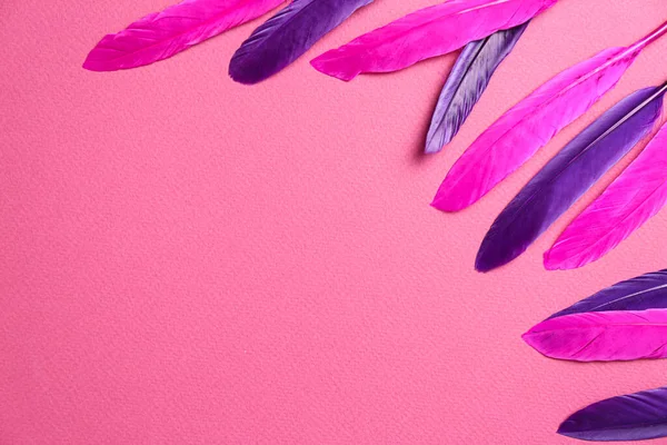 色彩艳丽的羽毛衬托在粉色的背景上 平坦平整 案文的篇幅 — 图库照片