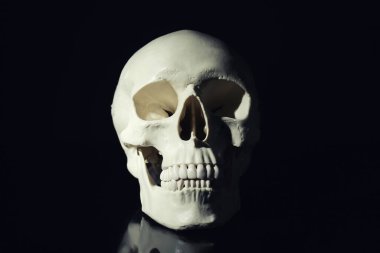 Siyah arka planda dişleri olan beyaz insan kafatası