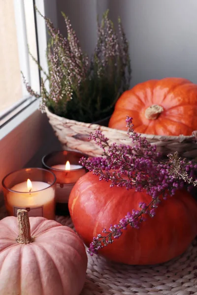 Wicker Basket Beautiful Heather Flowers Pumpkins Burning Candles Window Indoors — Stockfoto