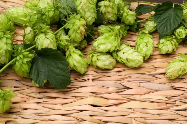 Fresh green hops and leaves on wicker mat, above view