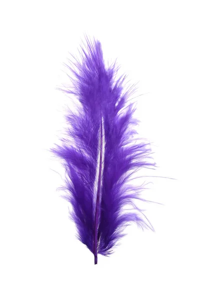 Fluffy Beautiful Purple Feather Isolated White — Zdjęcie stockowe