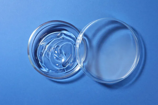 Petri dish with liquid and lid on blue background, flat lay