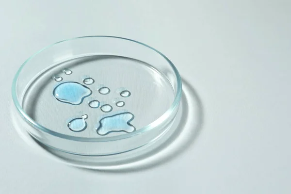 Πιάτο Petri Χρώμα Υγρό Λευκό Φόντο Χώρος Για Κείμενο — Φωτογραφία Αρχείου