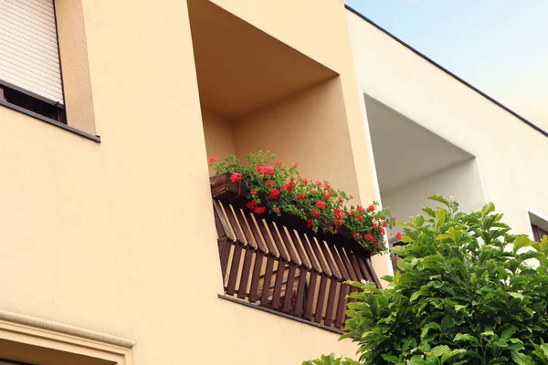 Stock image Wooden balcony decorated with beautiful red flowers